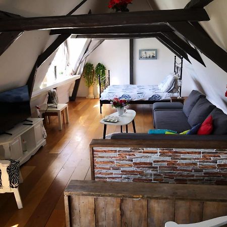 Wittezwaan Bed & Breakfast Харлинген Екстериор снимка